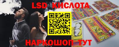 бошки Гатчина