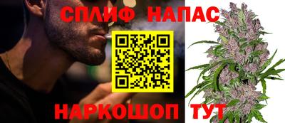 бошки Гатчина