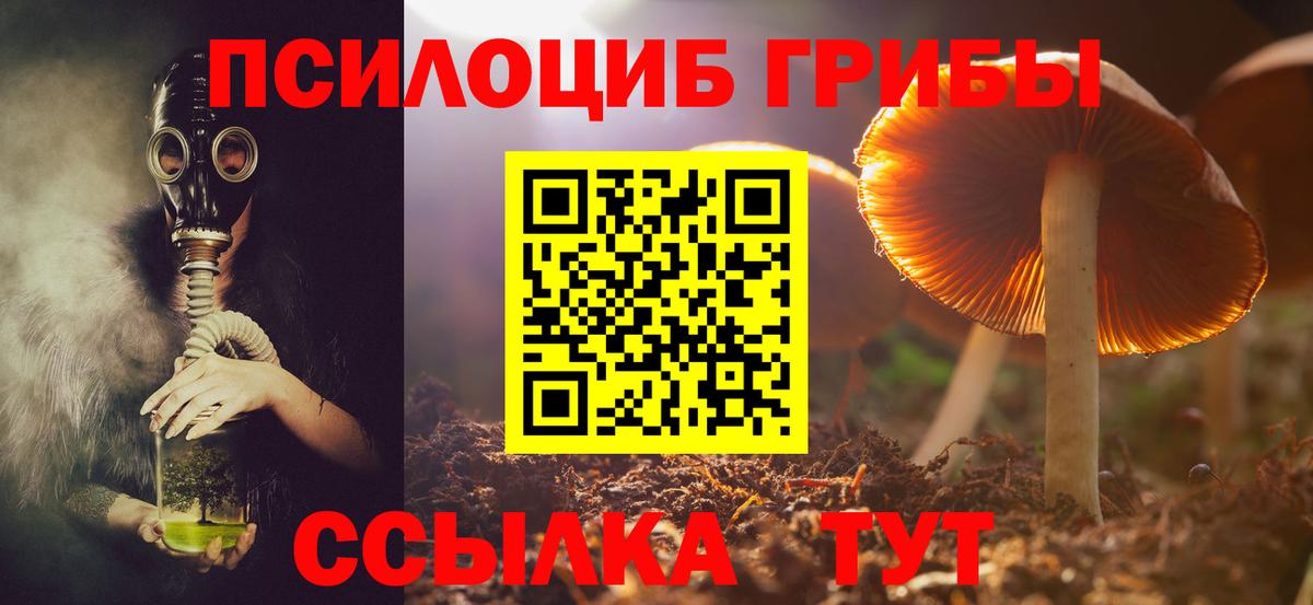 Псилоцибиновые грибы мухоморы Городец