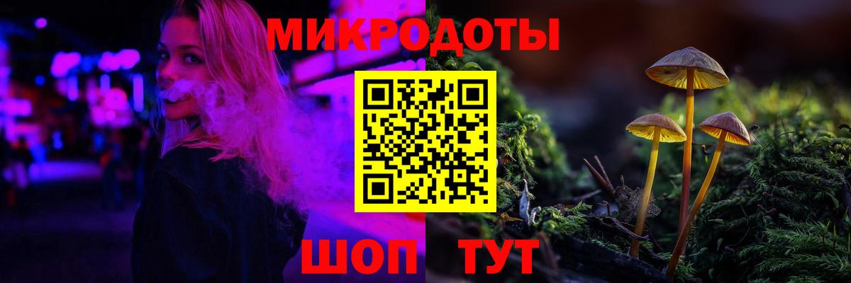 Псилоцибиновые грибы прущие грибы  Вход с VPN  Городец 